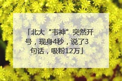 北大“韦神”突然开号，现身4秒，说了3句话，吸粉12万
